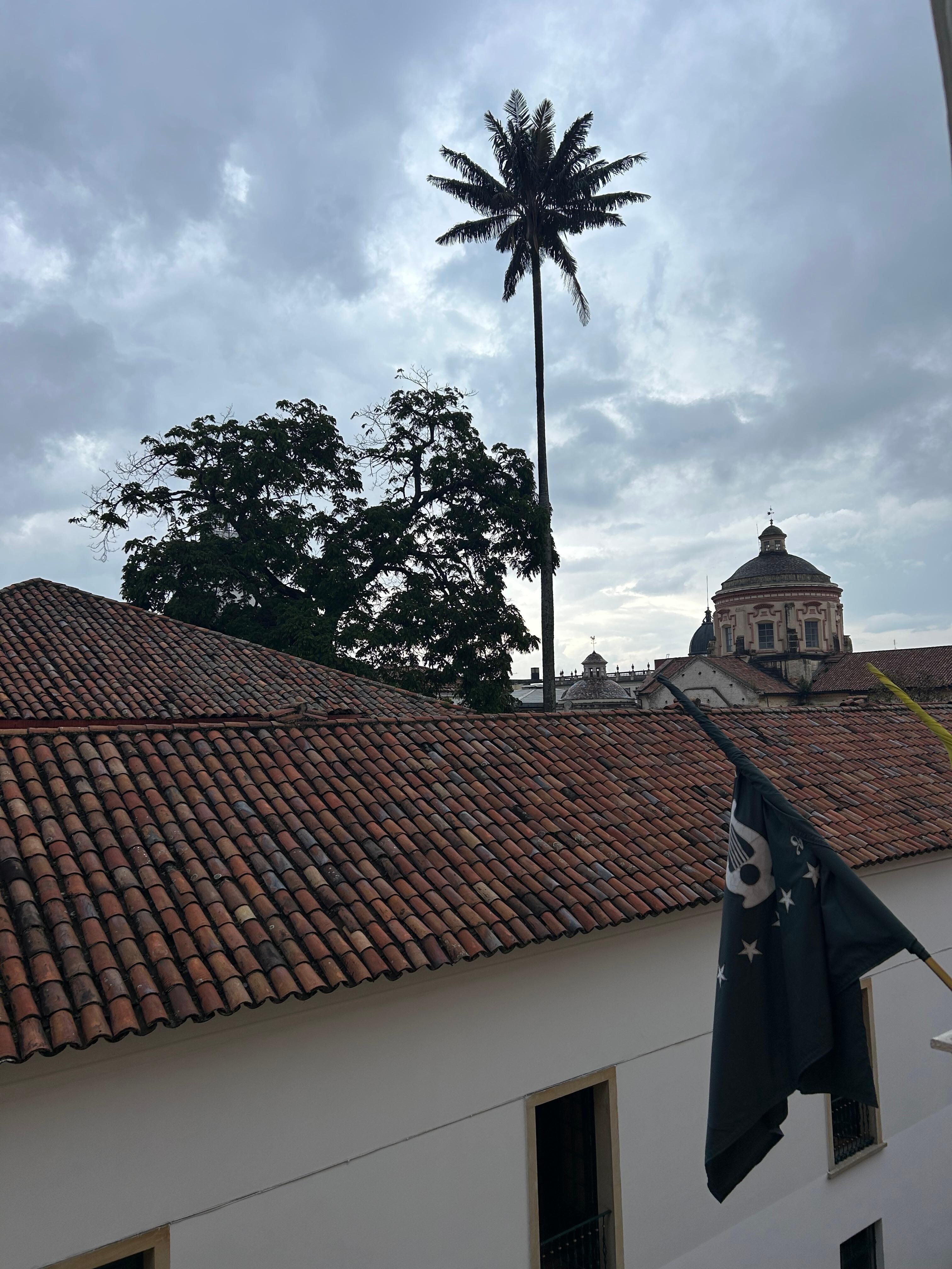 Vista desde la habitación 