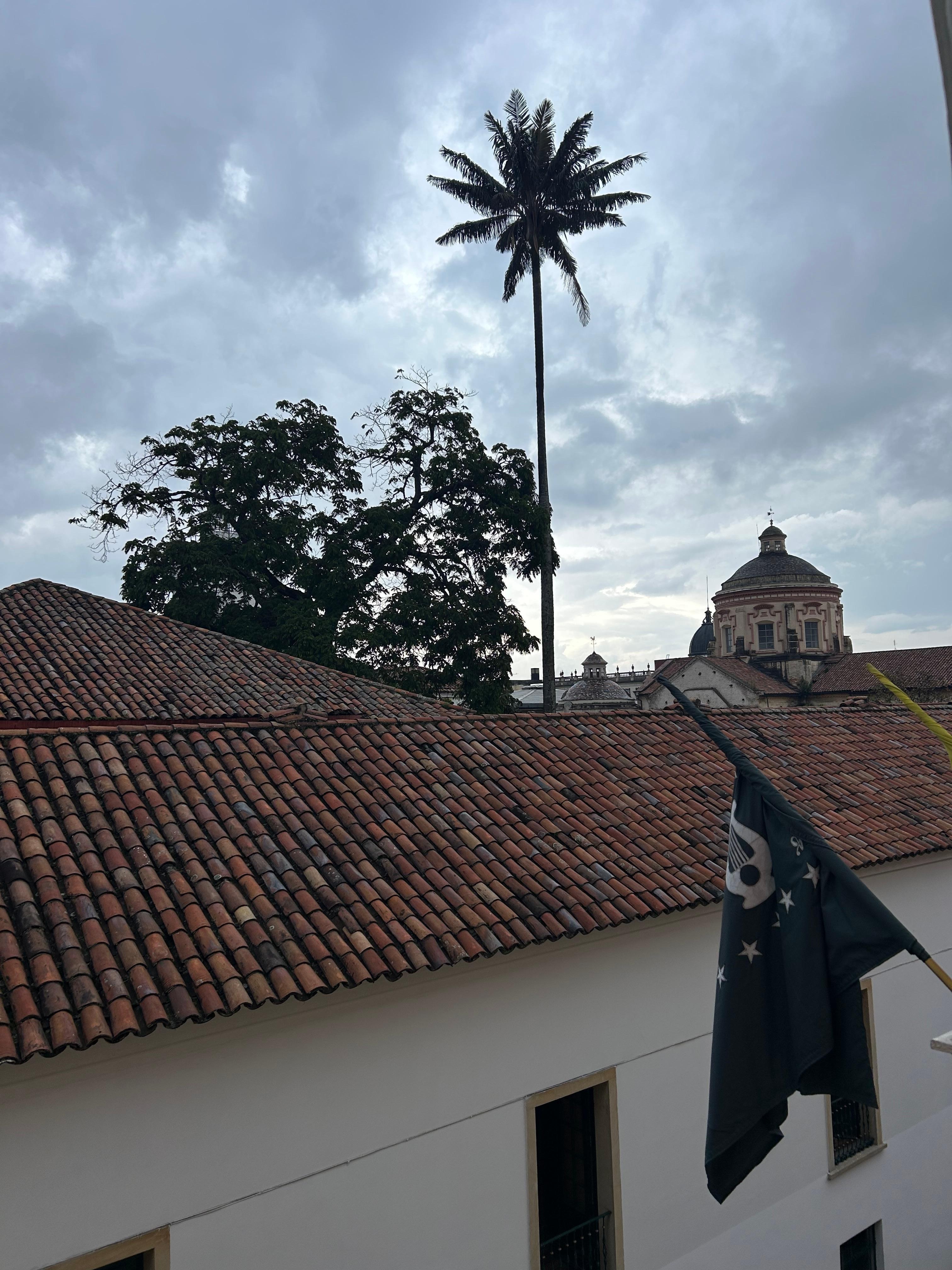 Vista desde la habitación