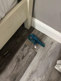 Thong underwear found under bed