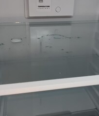 Fridge not cleaned