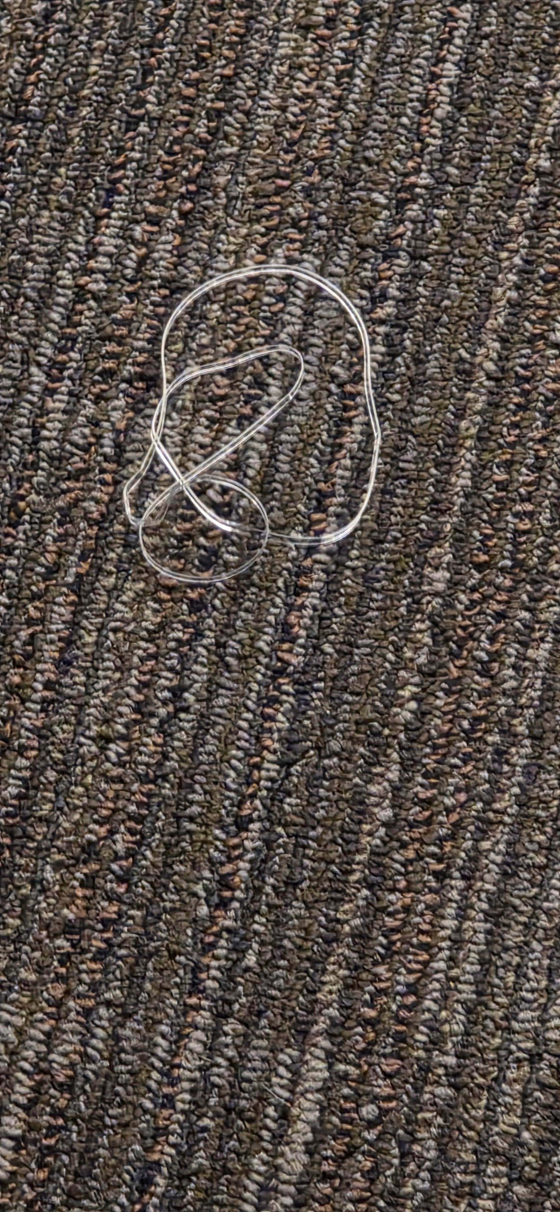 Found this inside my room