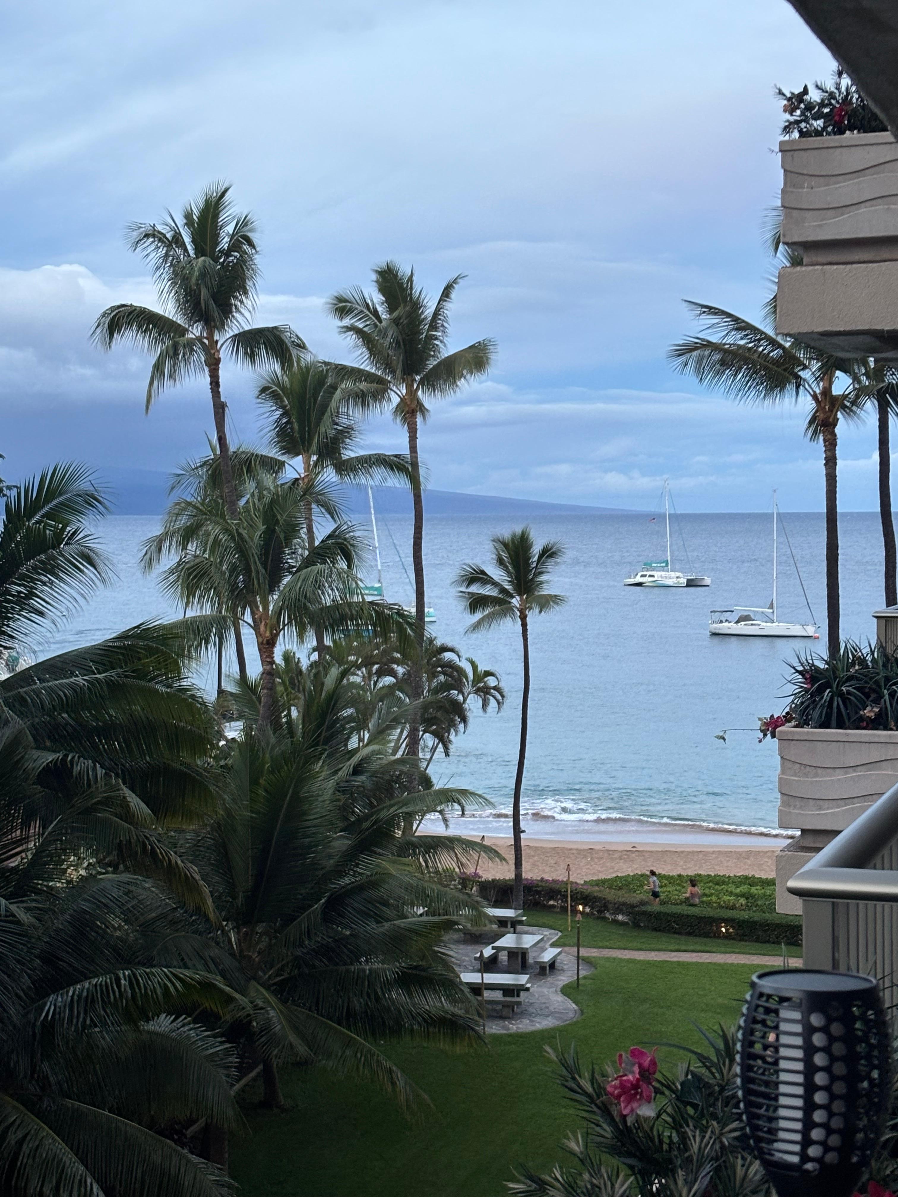 Morning breakfast view! 🤗 