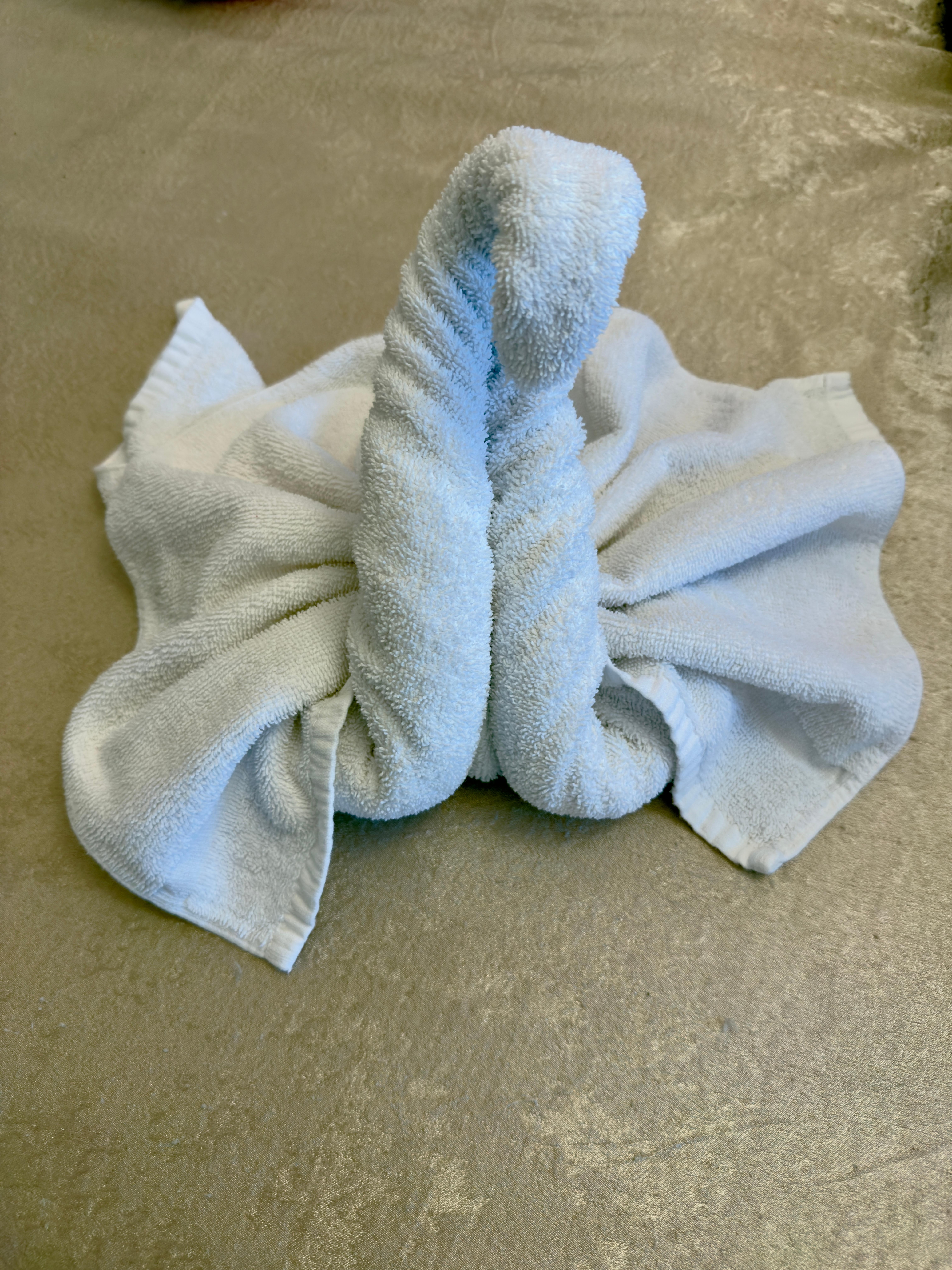 Towel animal on our bed at arrival