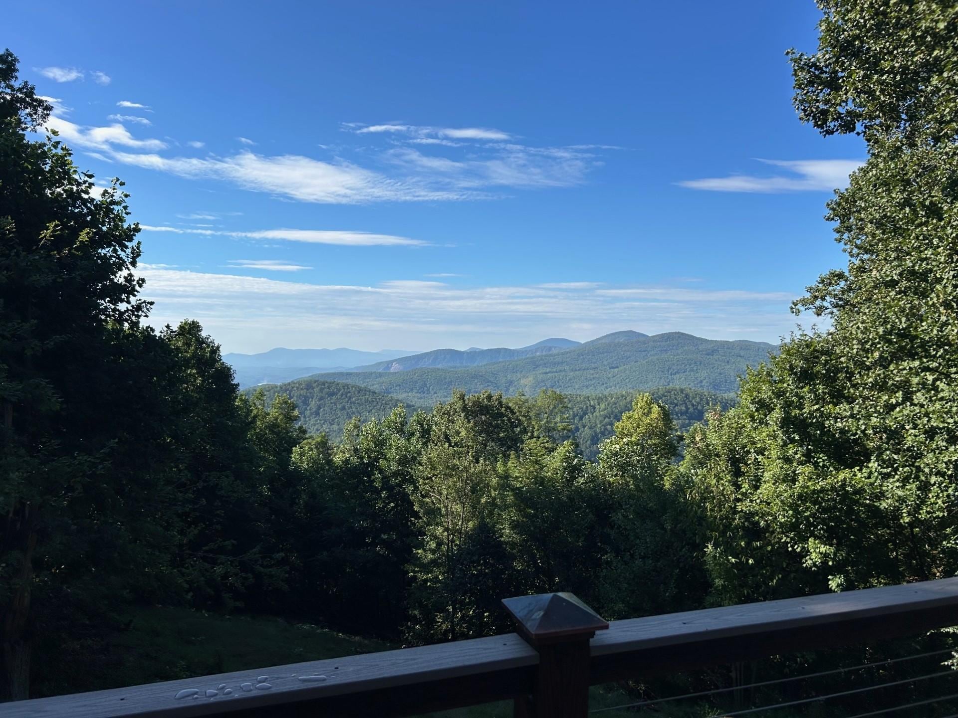 The view looking south from the deck.