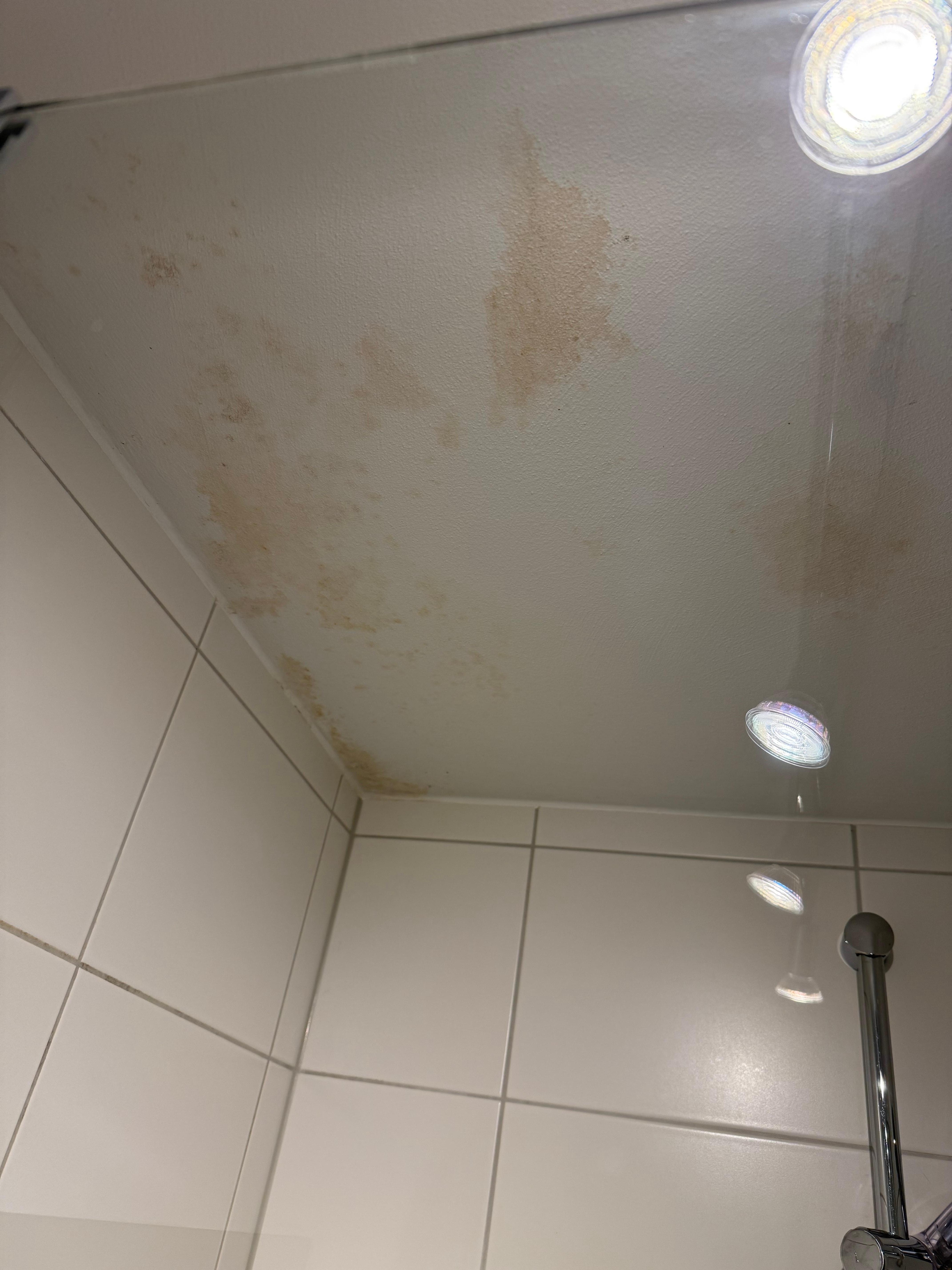 Flecken an der Decke