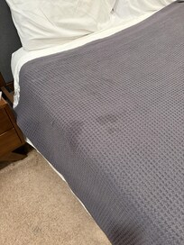 Clean but stained blanket primary bedroom