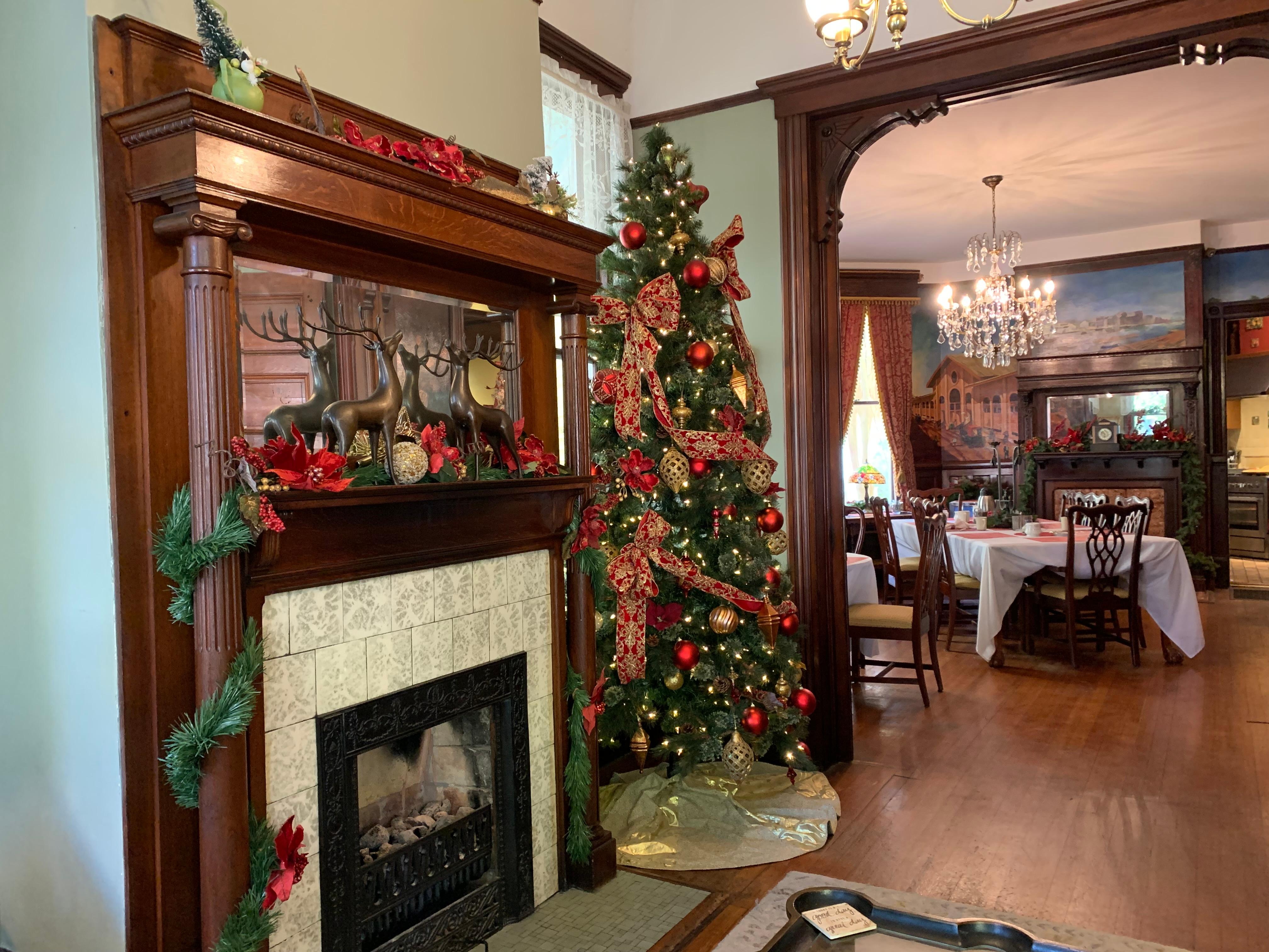 Living room fireplace 