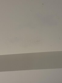 MOLD ON THE CEILING ROOM 271
