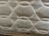 Black mold but not easy to see in the picture