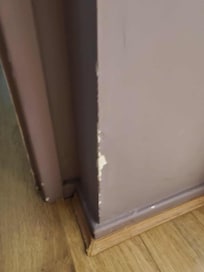 Paint peeling from walls