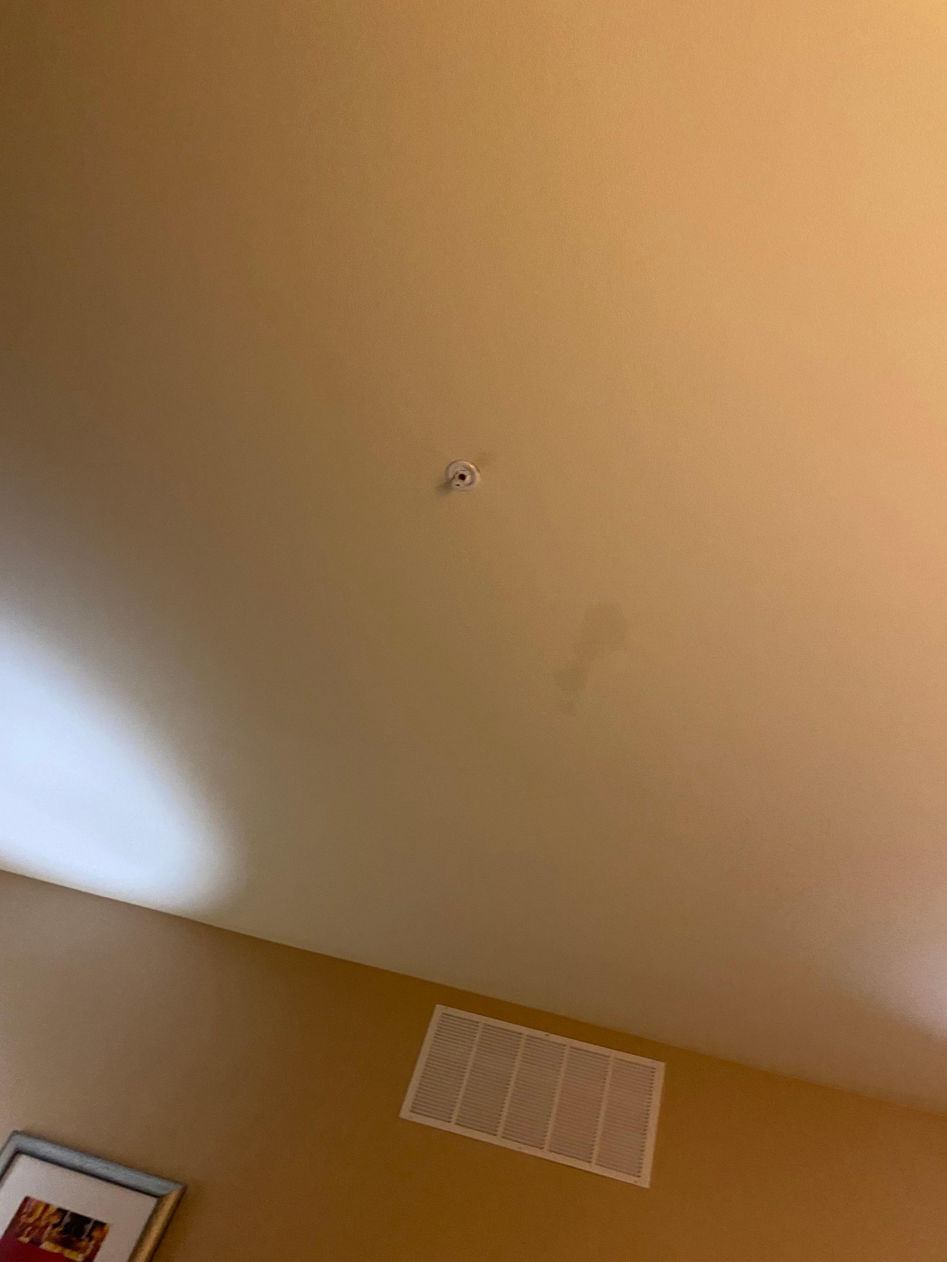 Daughter’s room looks like a leak in the ceiling we were on the second floor