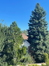 Peaceful surroundings view from balcony