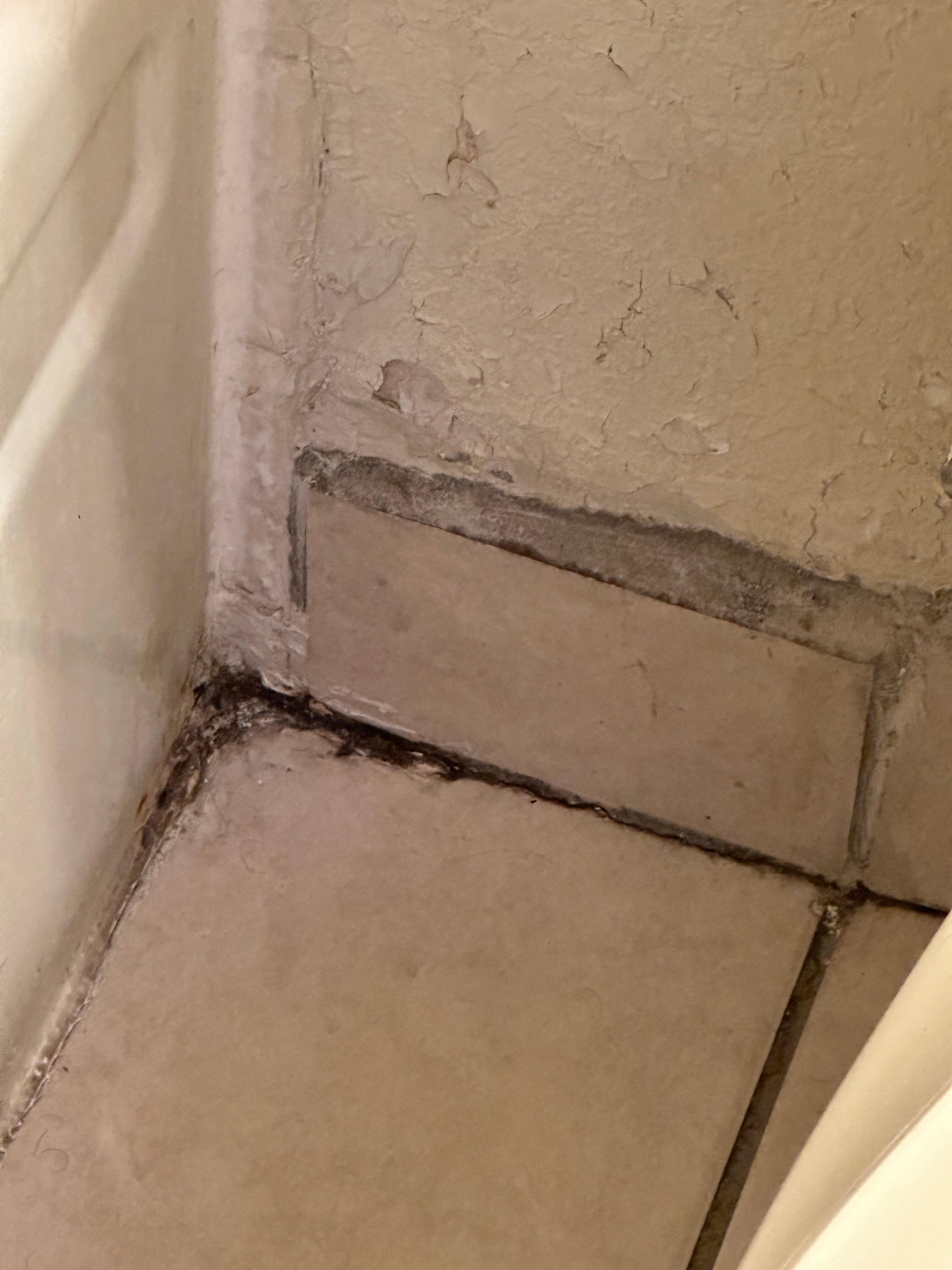Mould
