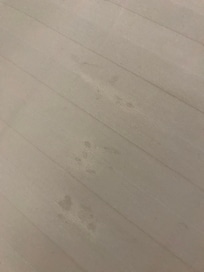 하얀 콧물같은 액체