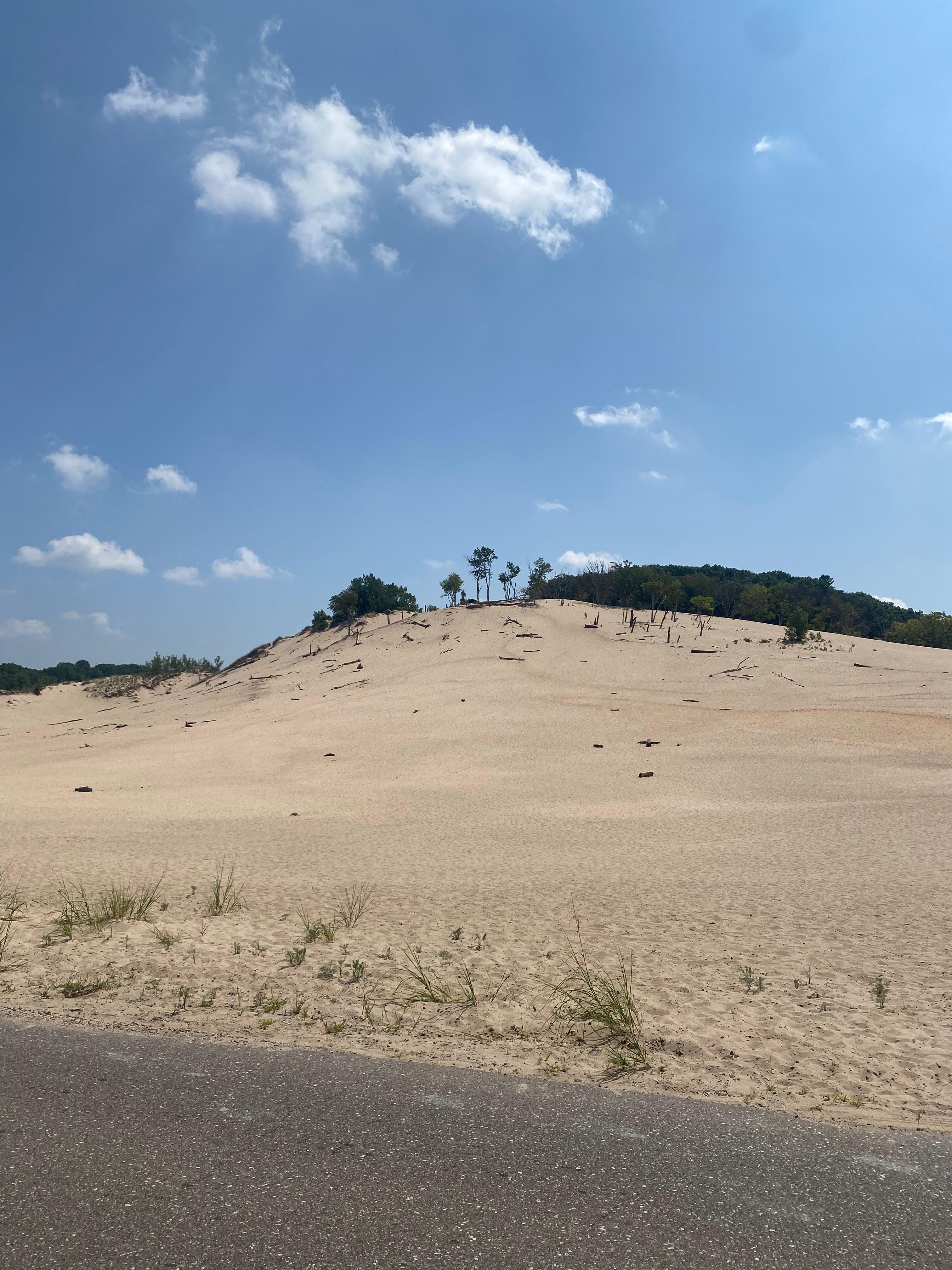 Warren Dunes State Park 