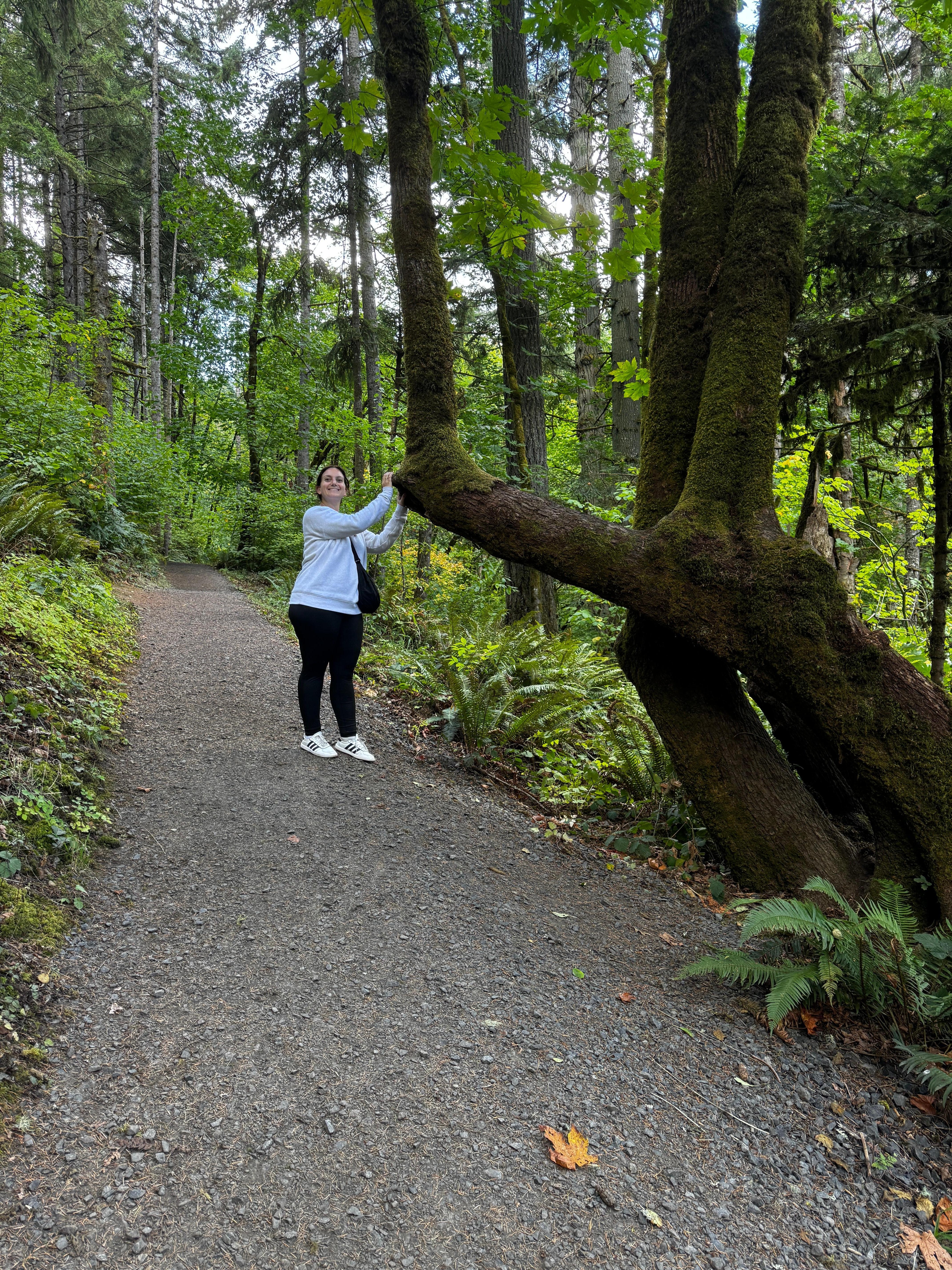 Hiking in the woods close to Eugene