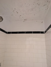 Ceiling of one shower needs new sealer and paint.