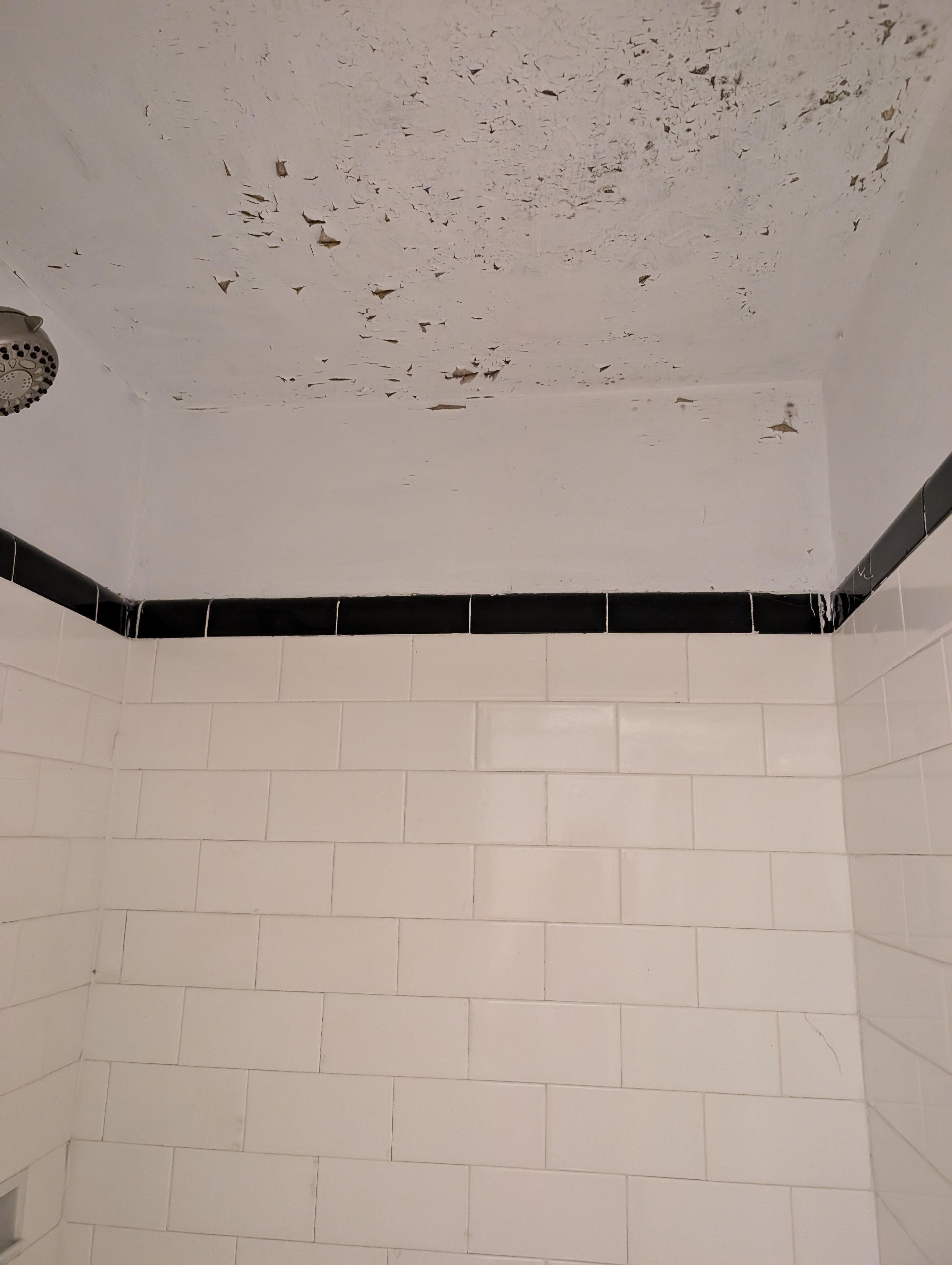 Ceiling of one shower needs new sealer and paint.