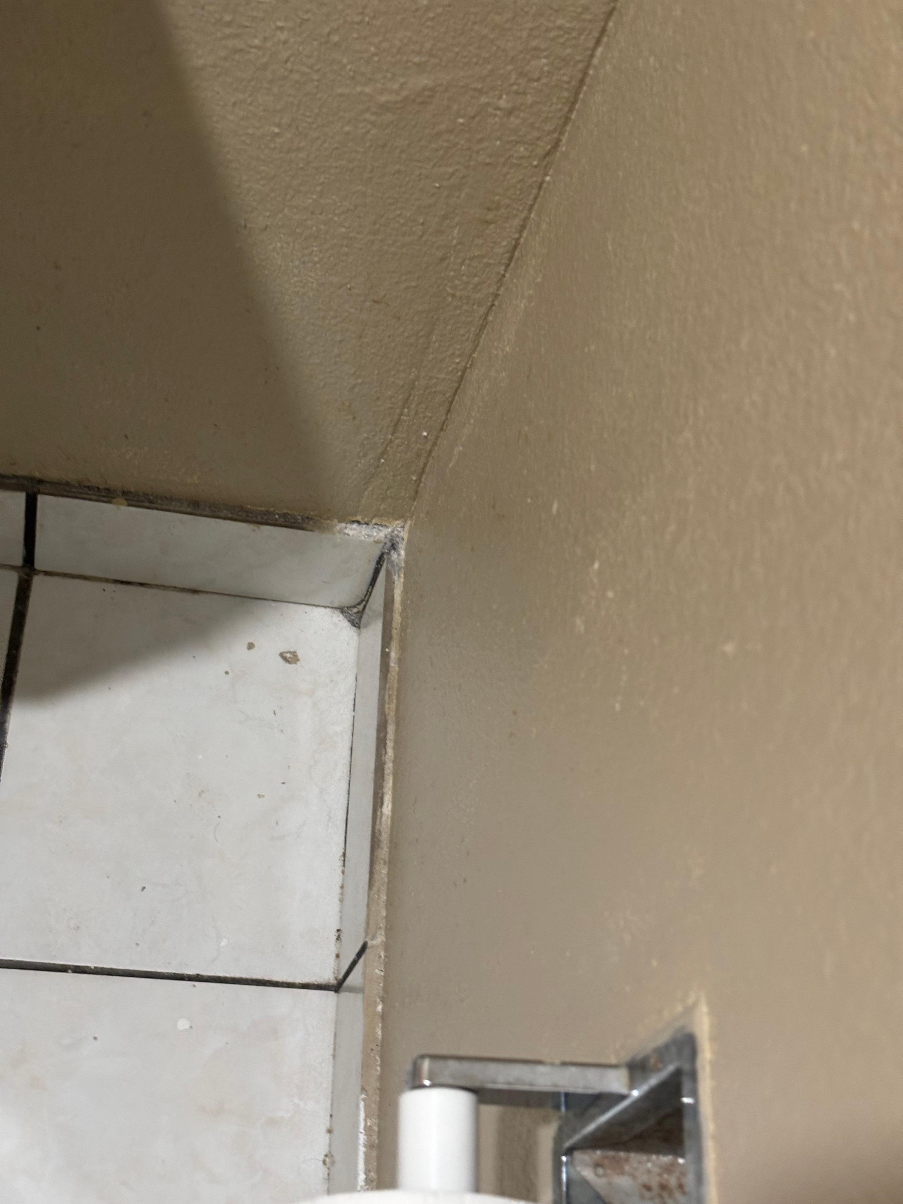 My feedback not to show that I don't like or reporting but I do really hope that you can improve the quality. Thanks.