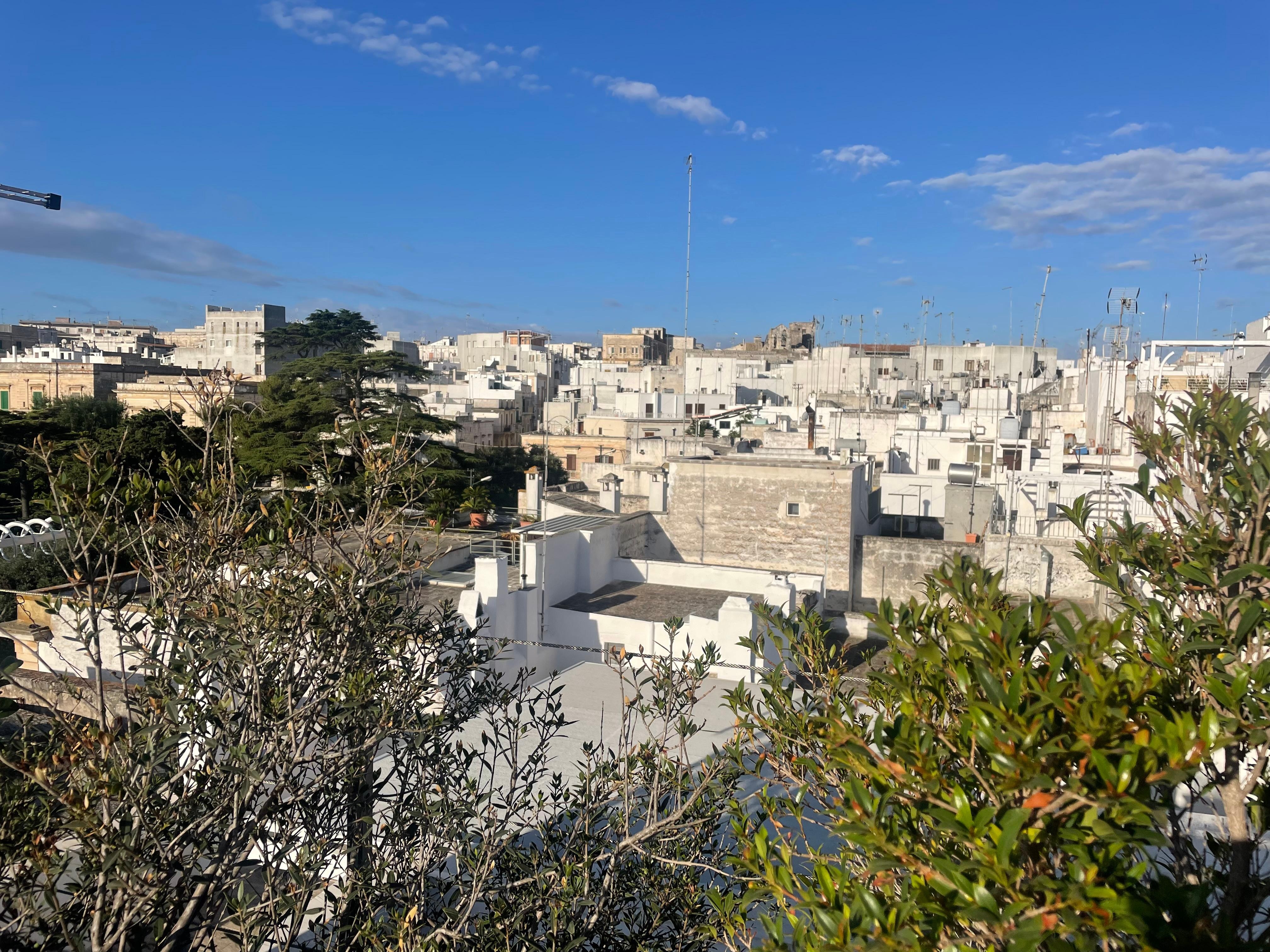 View from the rooftop