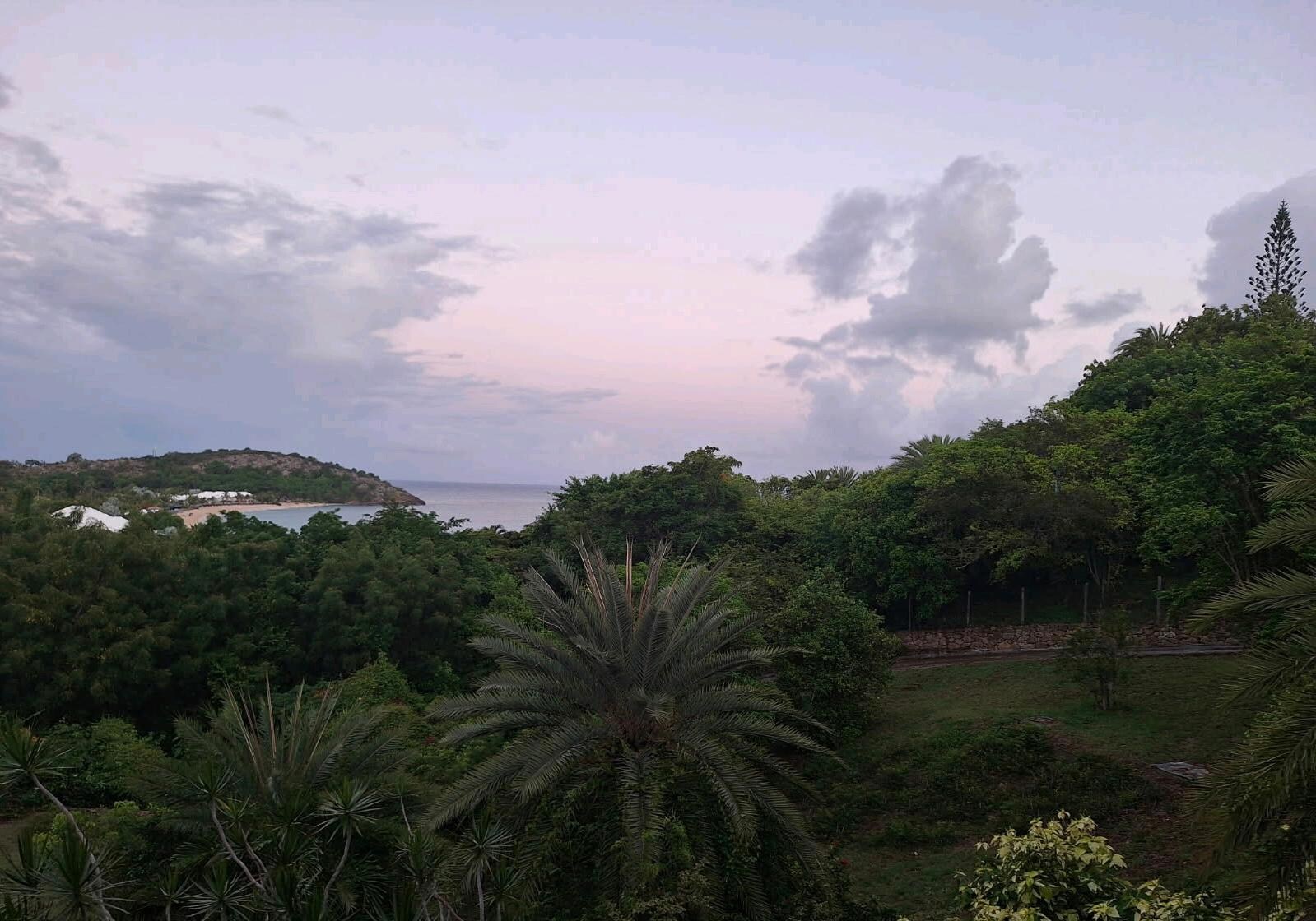 View from veranda