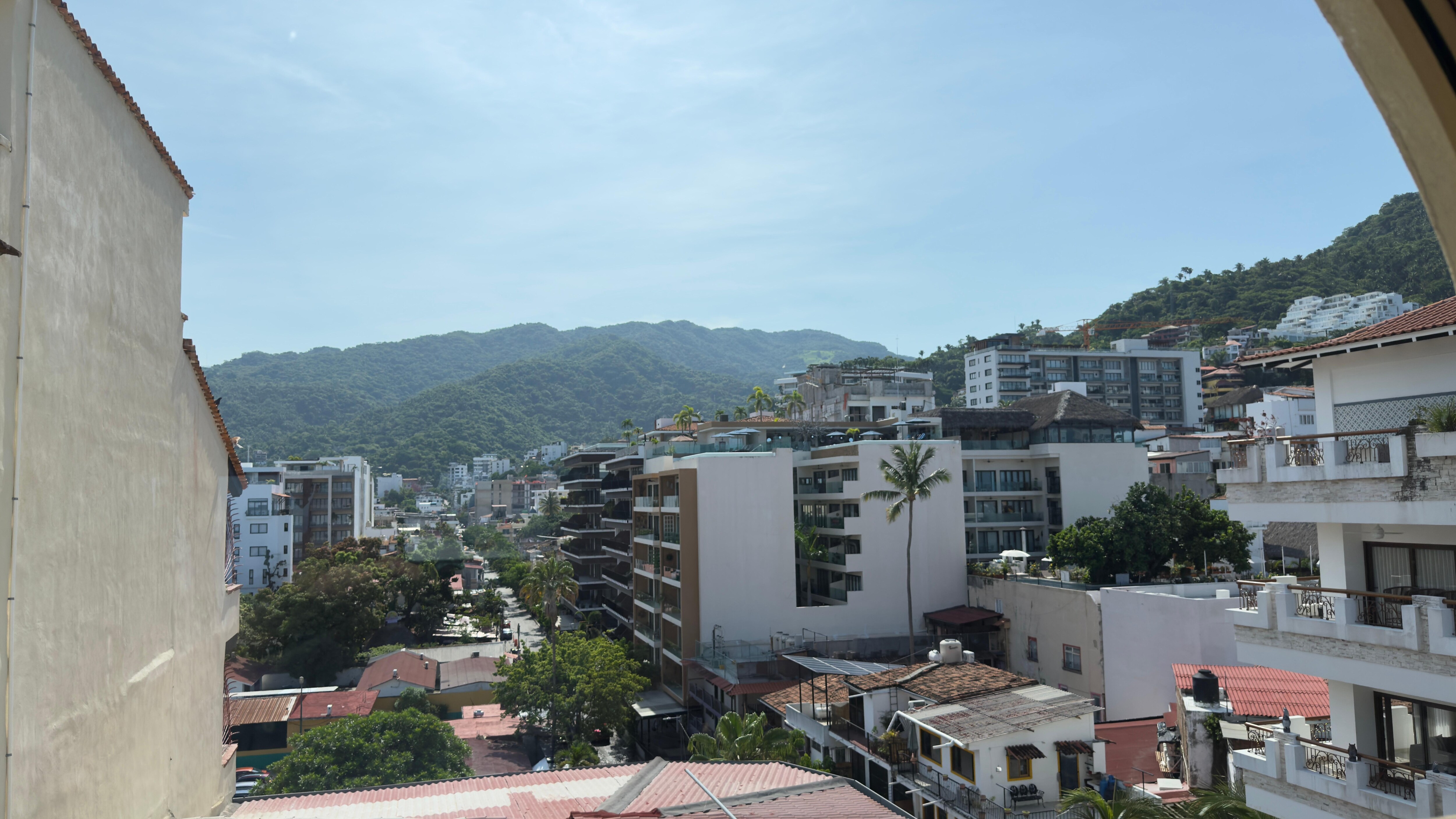 View out of the kitchen window.