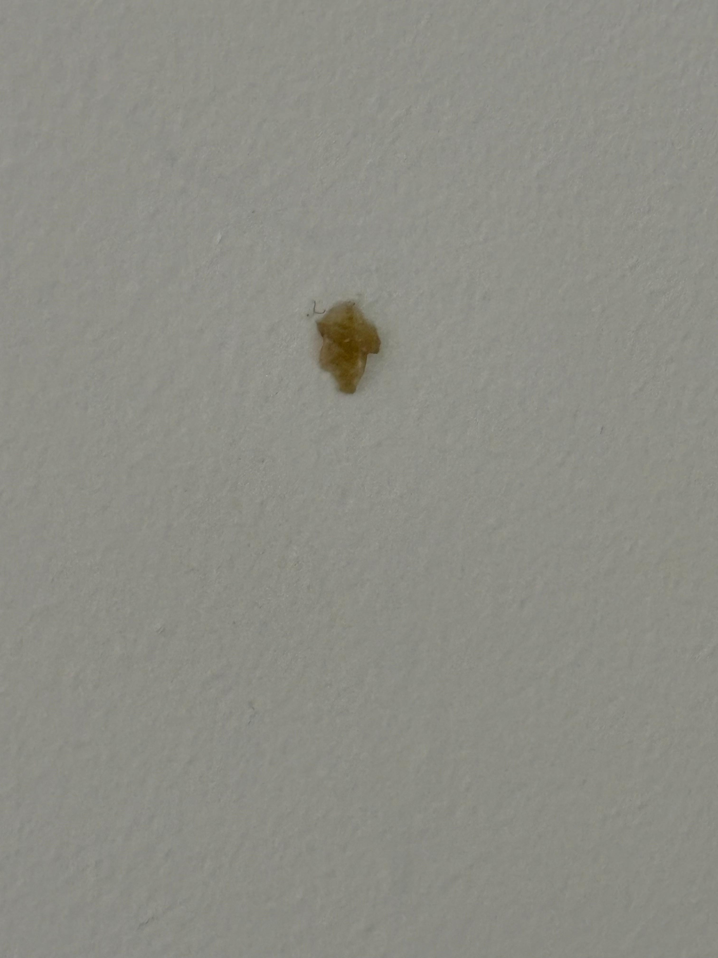 snot on wall