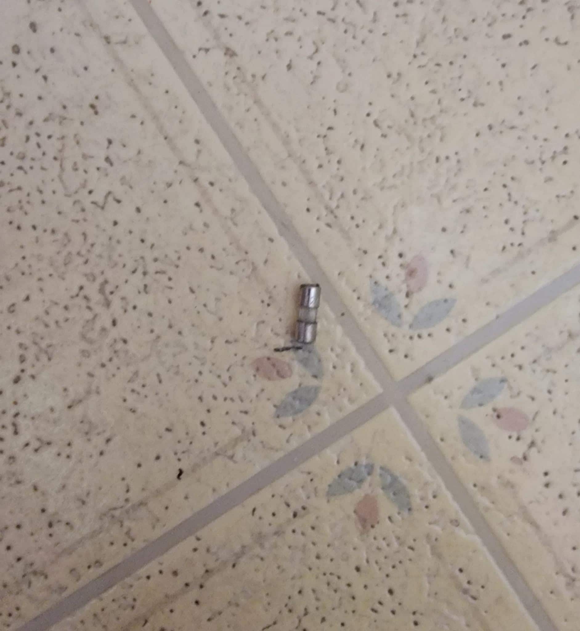 On bathroom floor