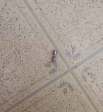 On bathroom floor