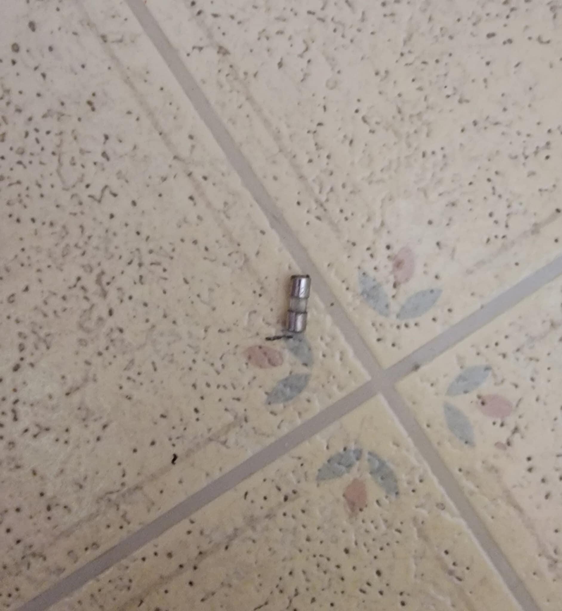 On bathroom floor