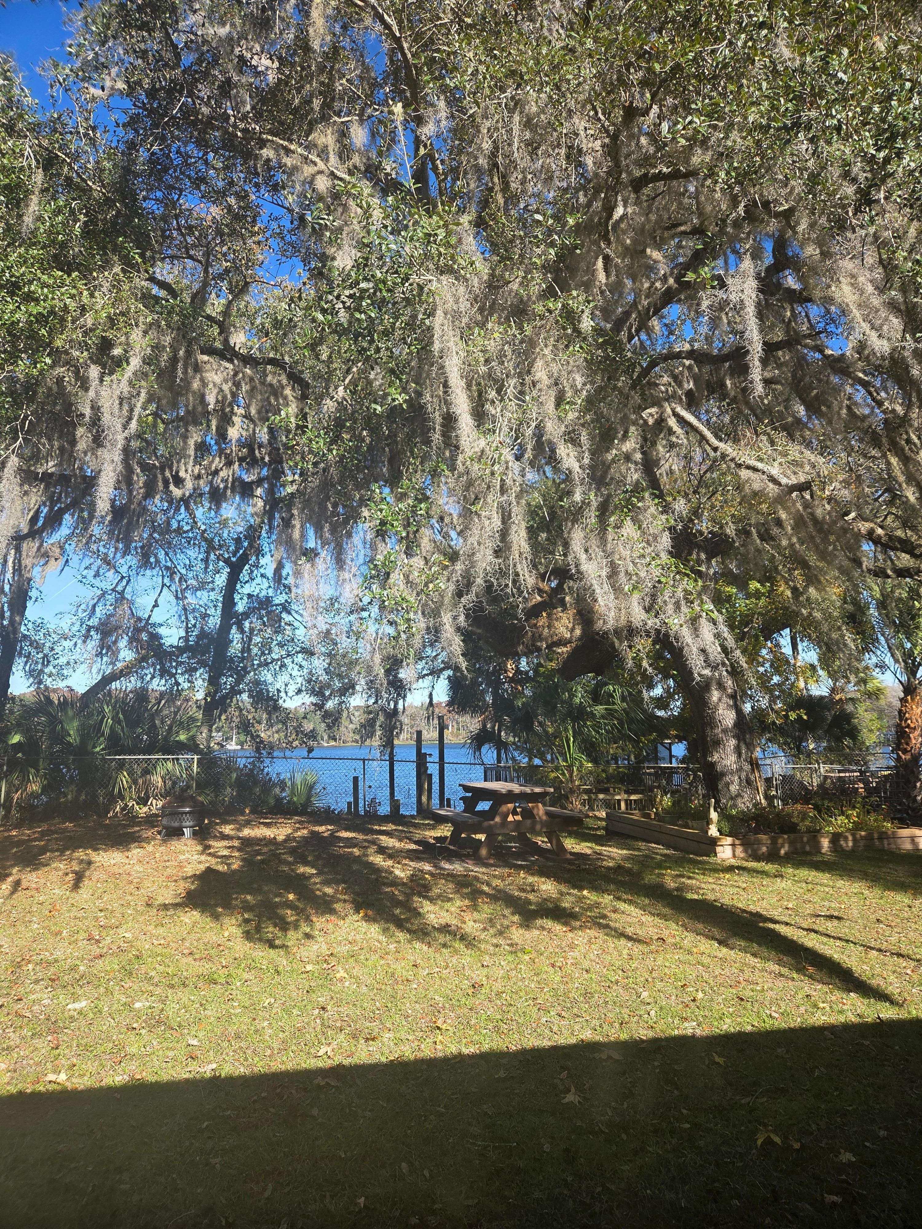 View of backyard looking out living room window.