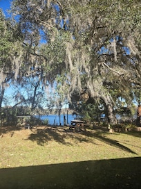 View of backyard looking out living room window.