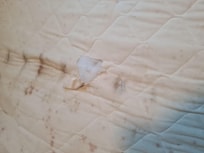Blood stains