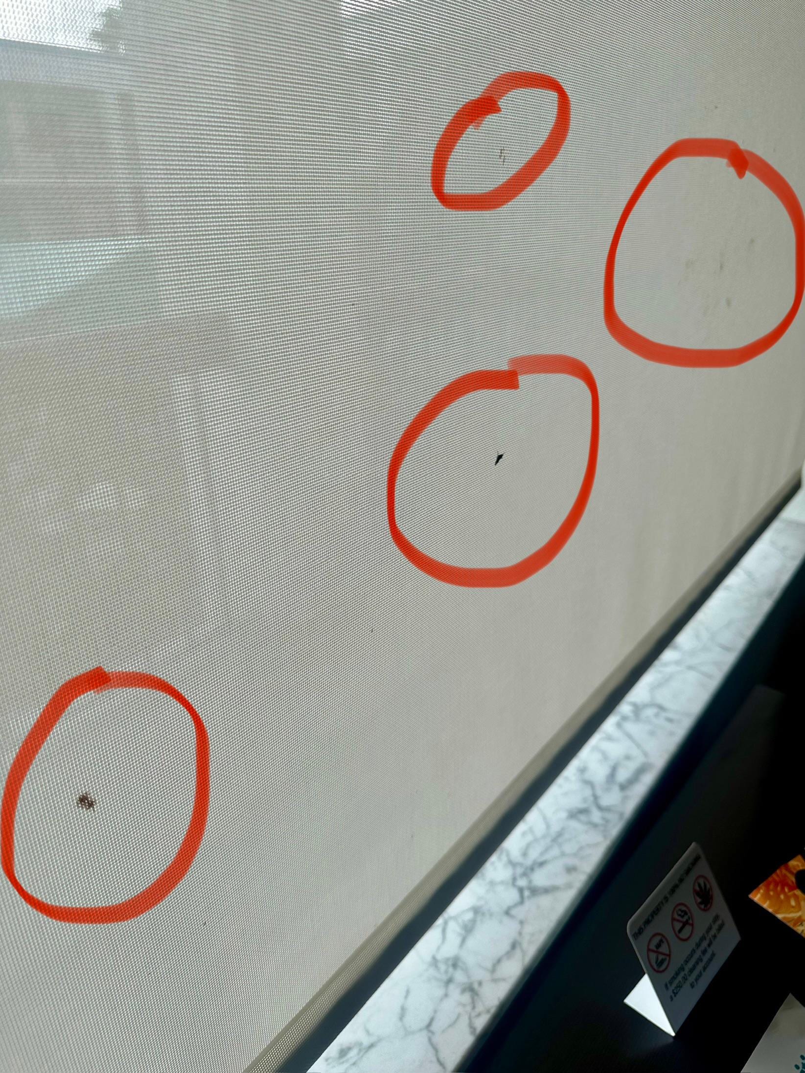 Dead bugs rolled up in the shades. 