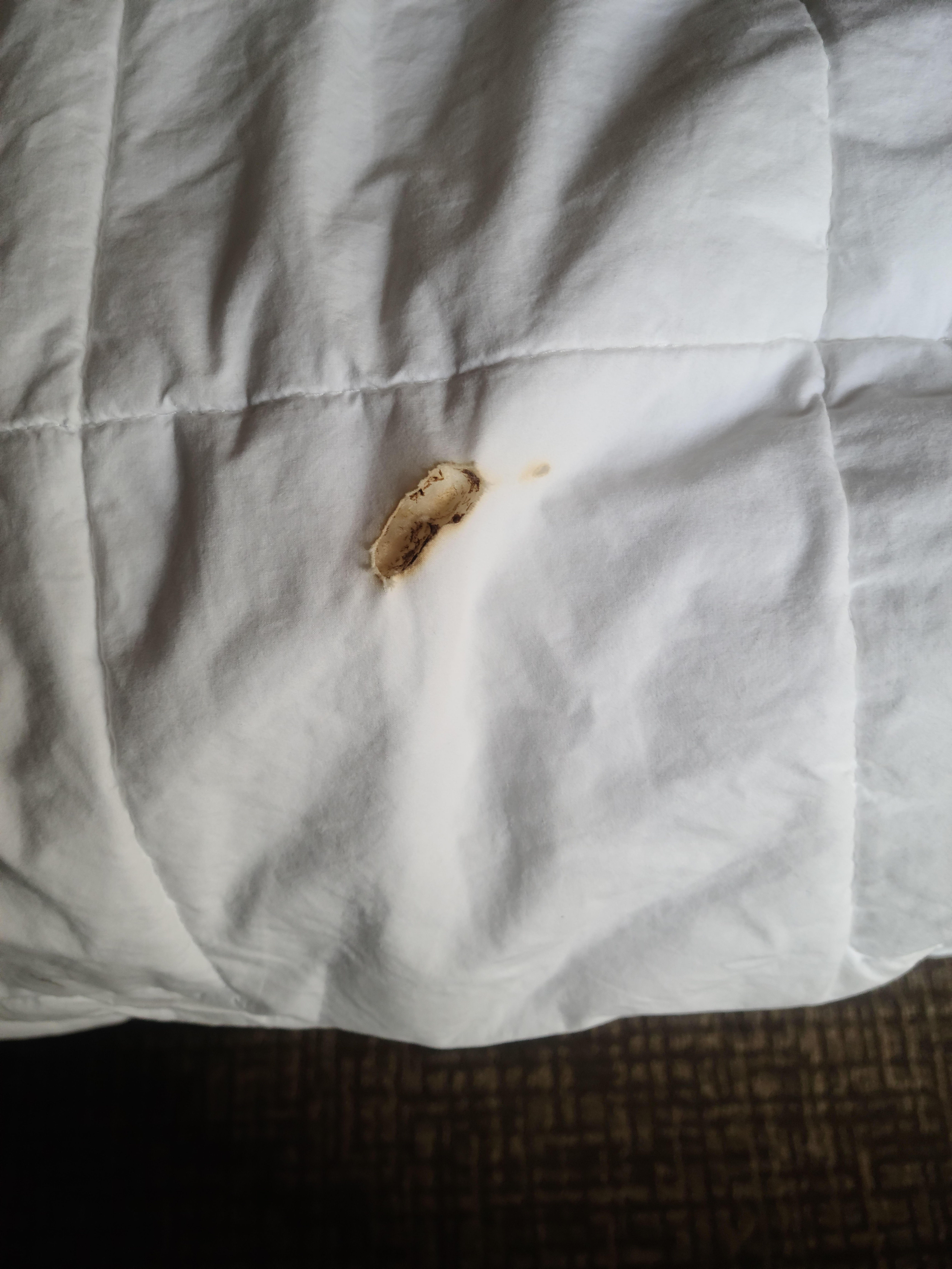 Cigarette burn in duvet
