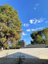 Beautiful morning view from the yard