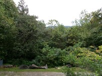 Front porch view