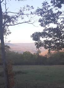 Beautiful evening view.