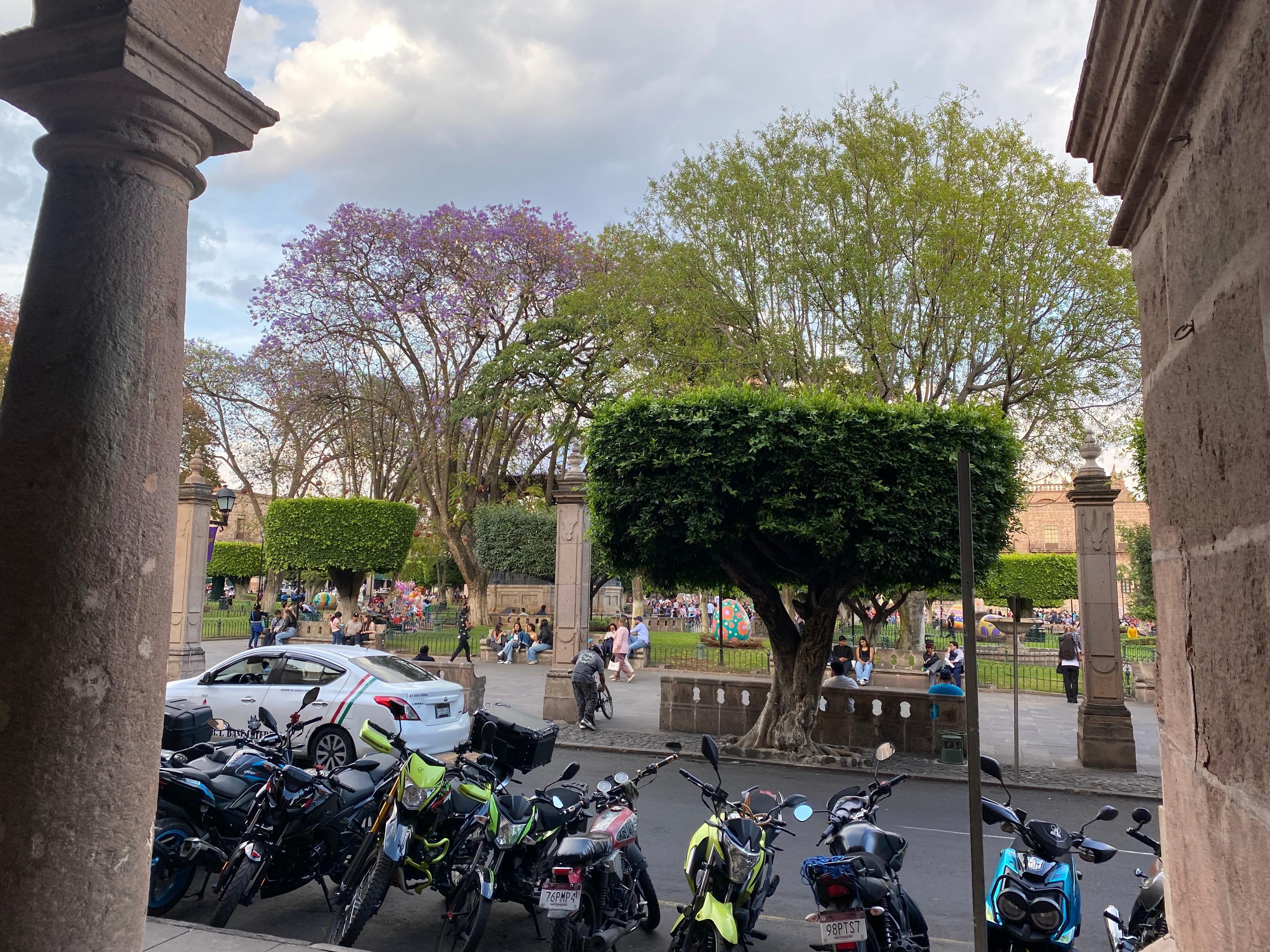 Vista de entrada al hotel 