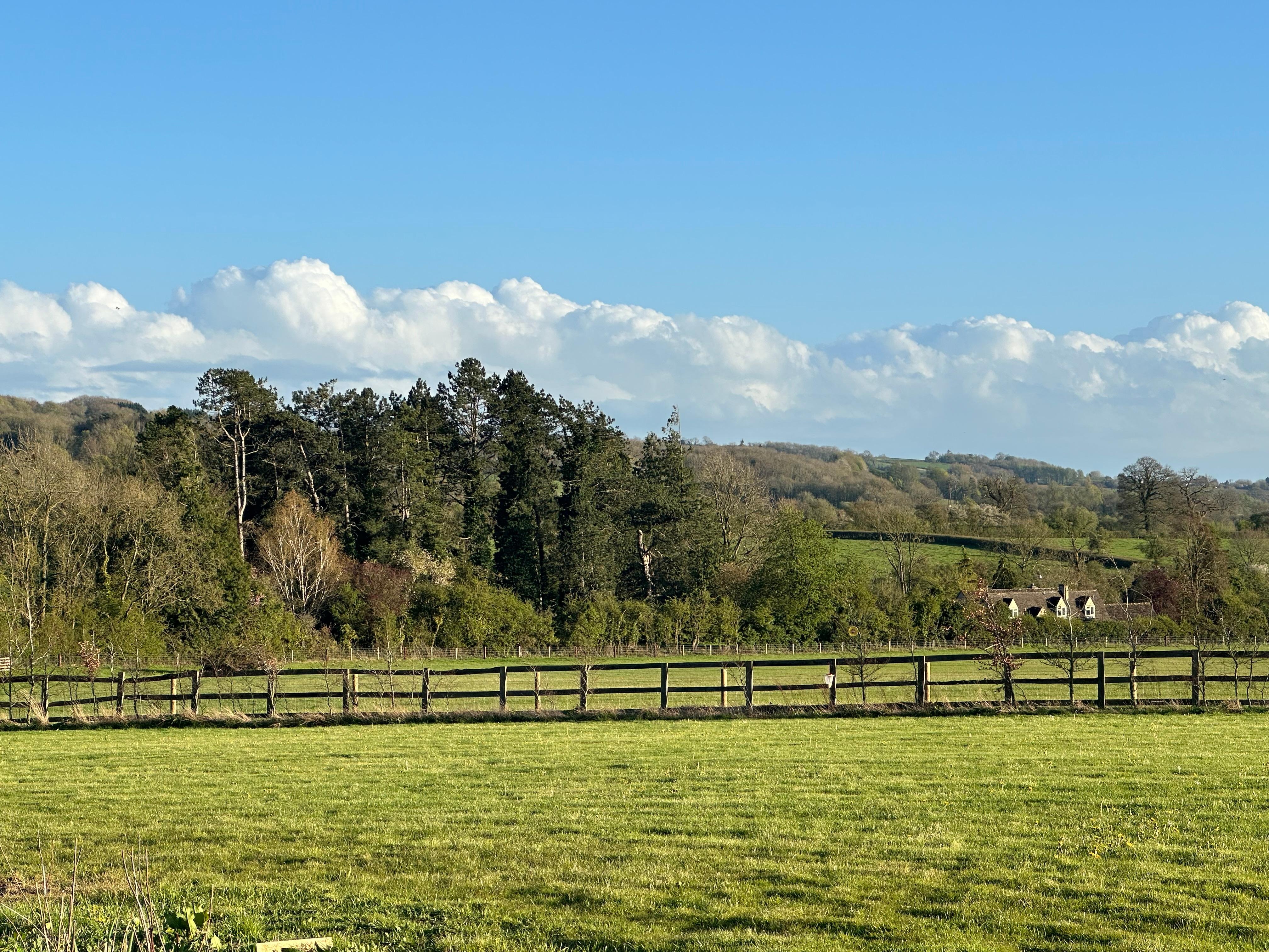 The beautiful view at the hotel 