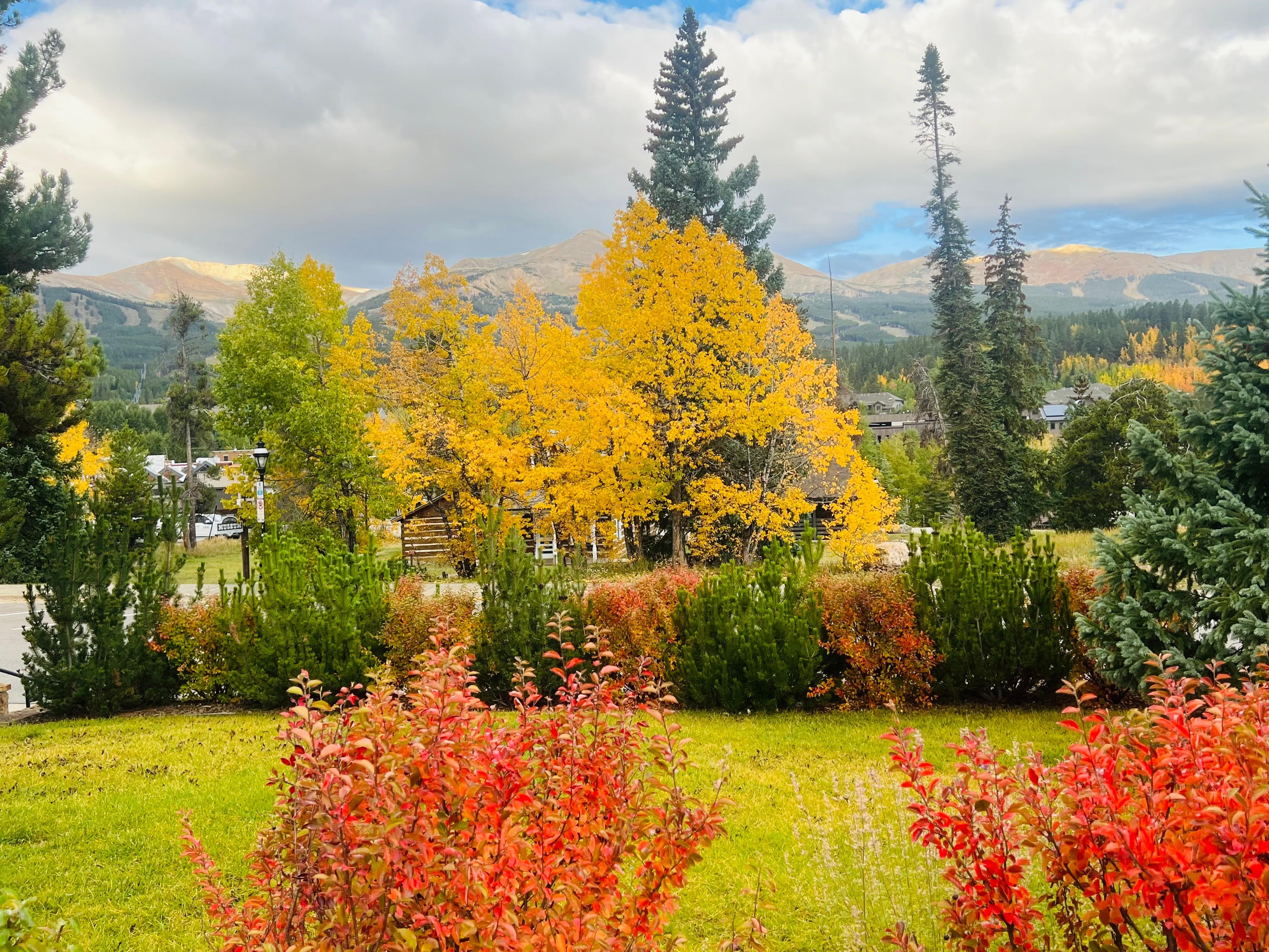 View from front yard 2