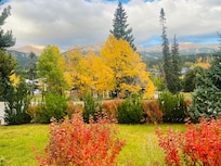 View from front yard 2
