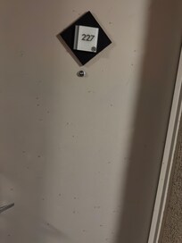 Mosquitos on doors and inside