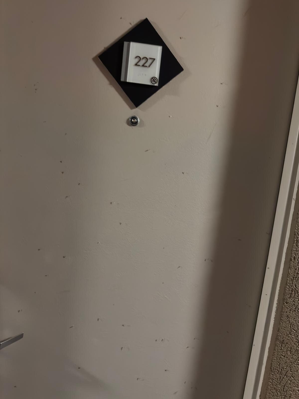 Mosquitos on doors and inside