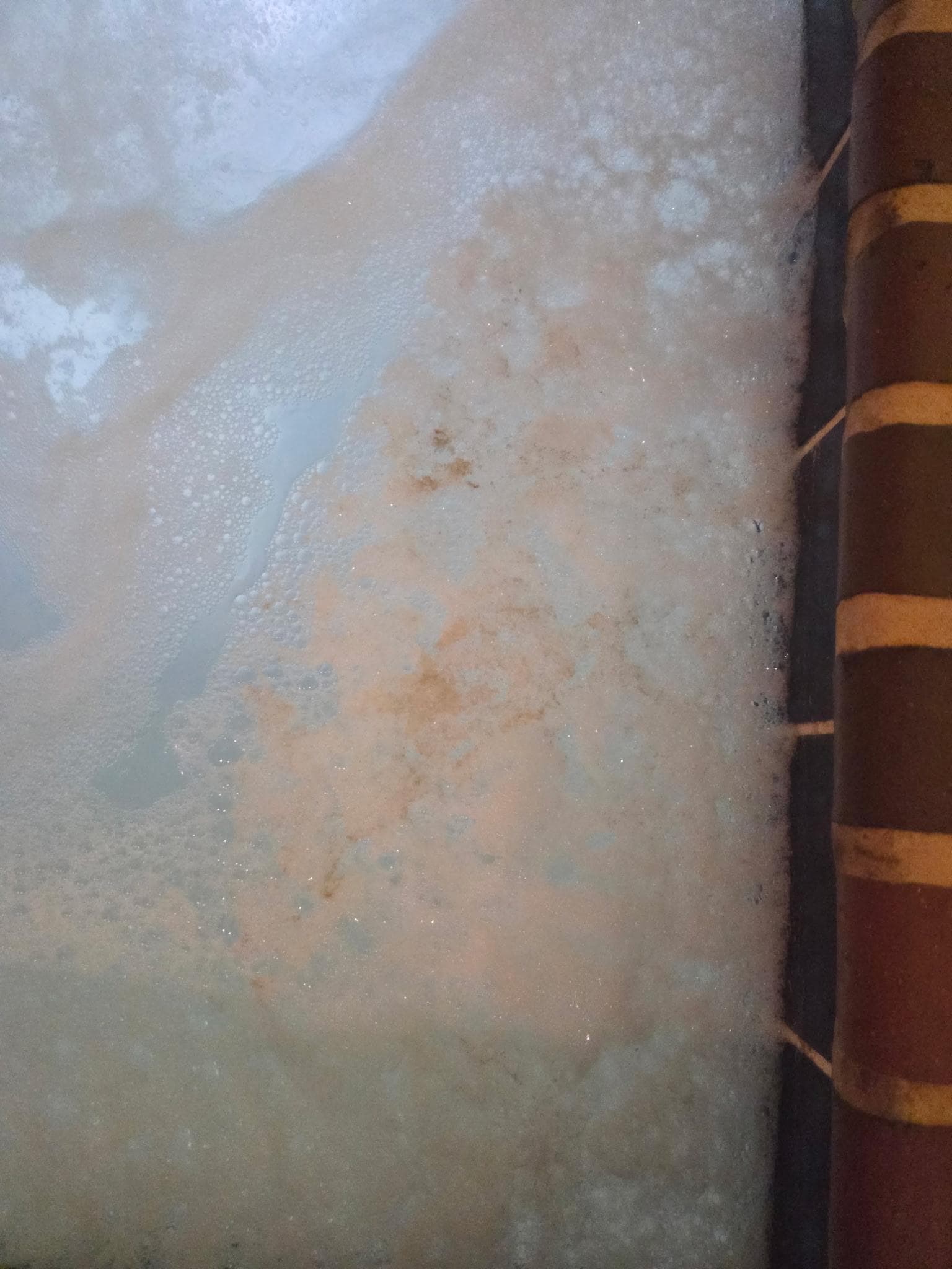 Feces in the hot tub. 