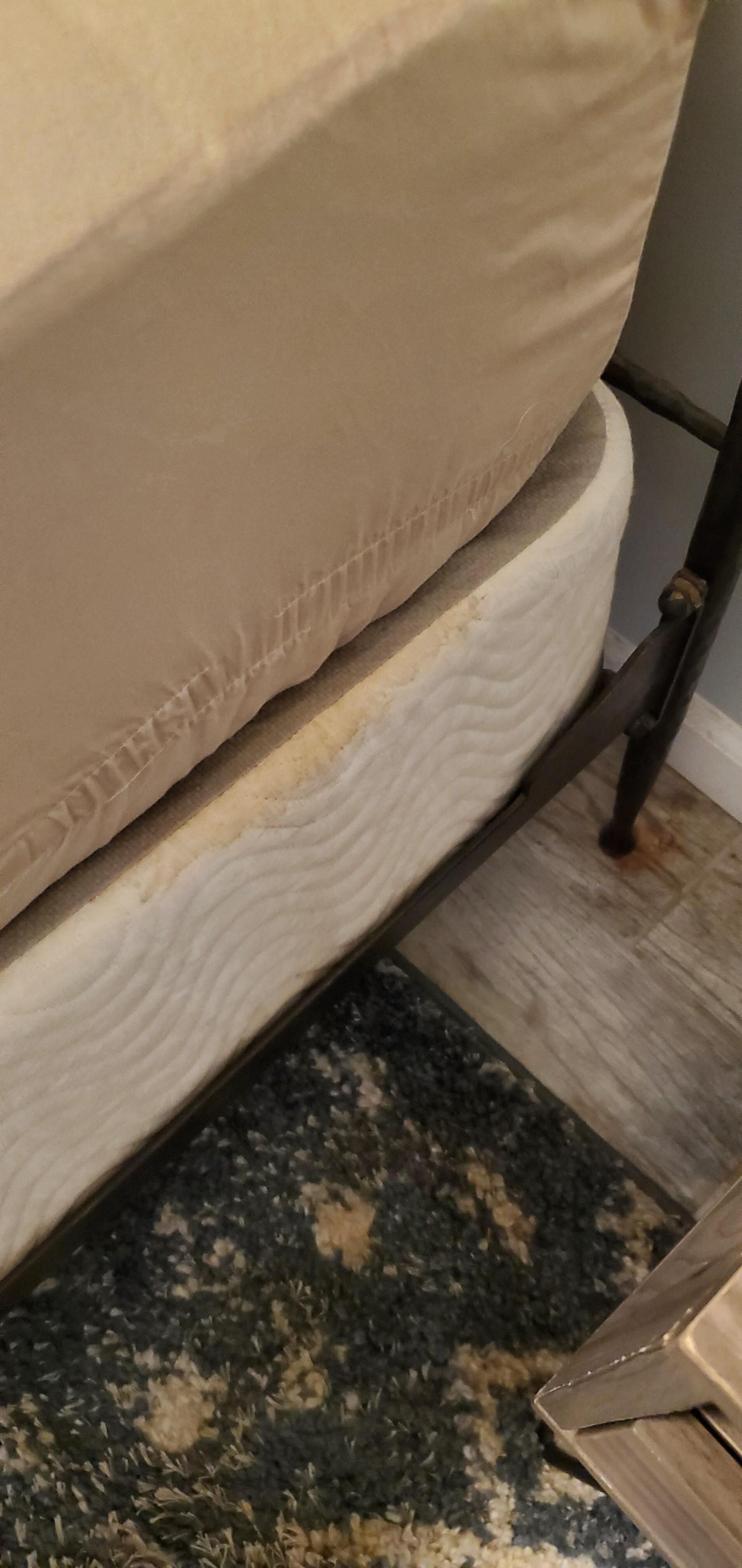 stained box spring
