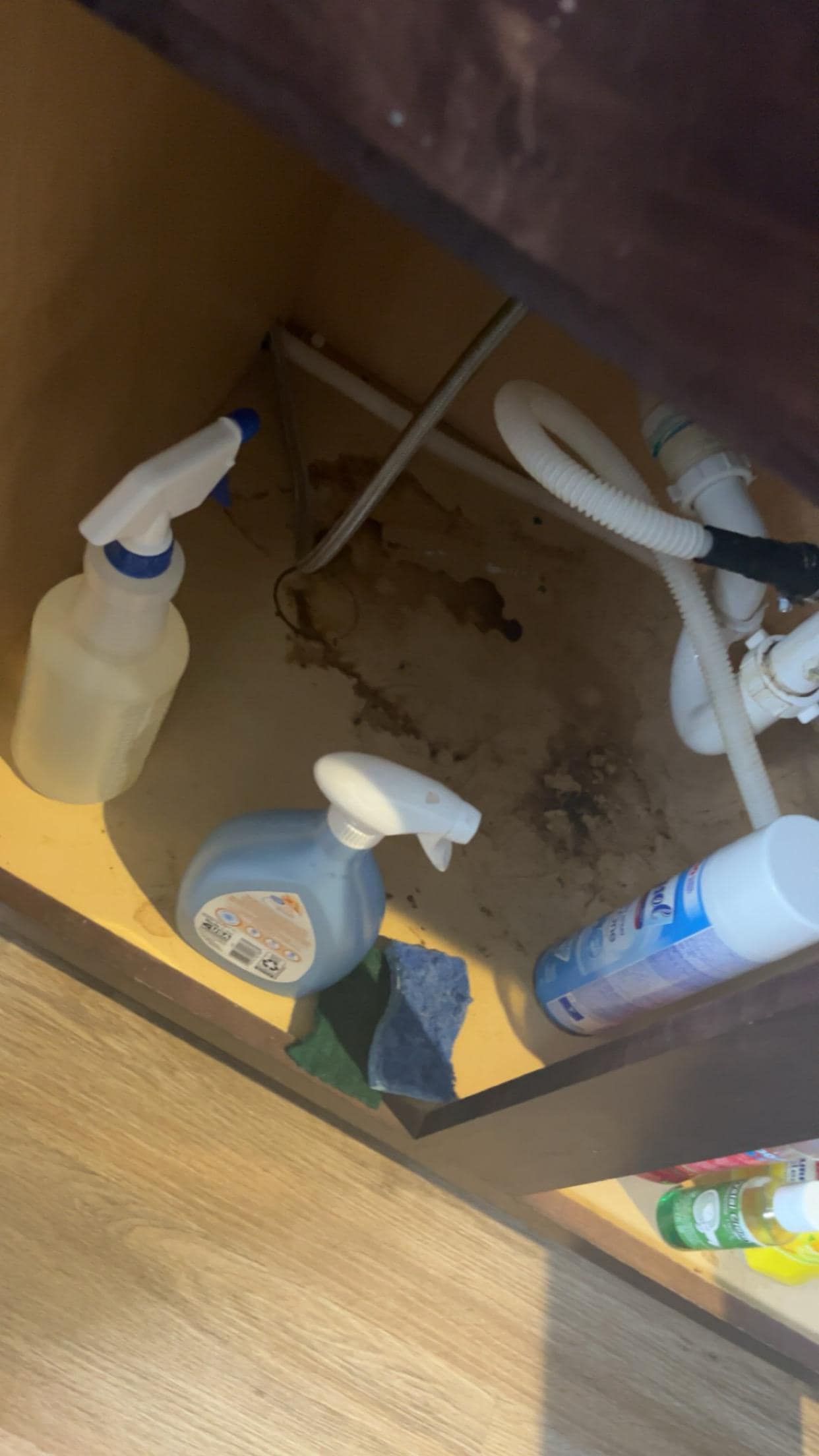 Under kitchen sink i have lots of other photos but for some reason I can’t post All not sure why. 