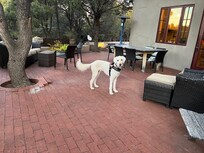 Pups love this place!!