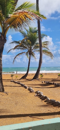 This was less than a minute walk away. Straight up the road to this paradise ❤️