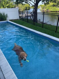 Pet friendly!